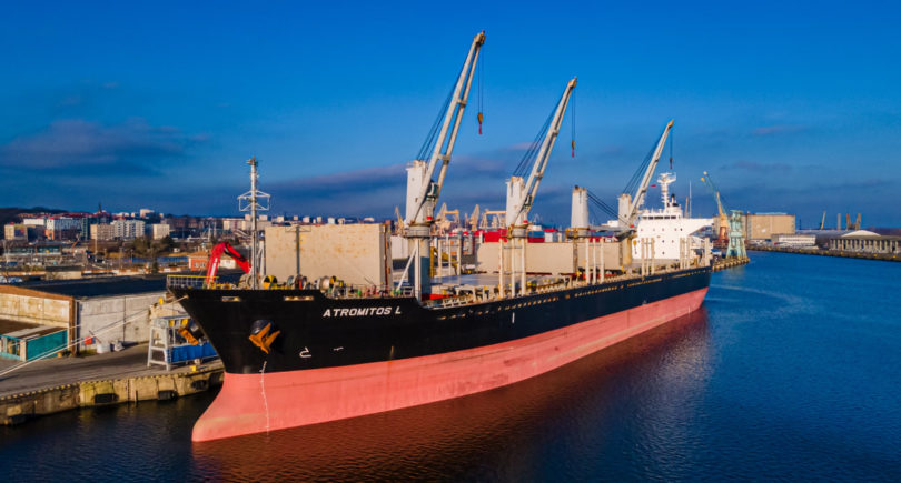 Photo – The port of Szczecin-Świnoujście in January reduced iron ore transshipment by 12.9% y/y
